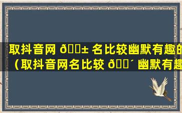 取抖音网 🐱 名比较幽默有趣的（取抖音网名比较 🐴 幽默有趣的名字）